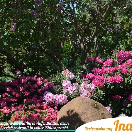 Апартаменты Ina Sellessen